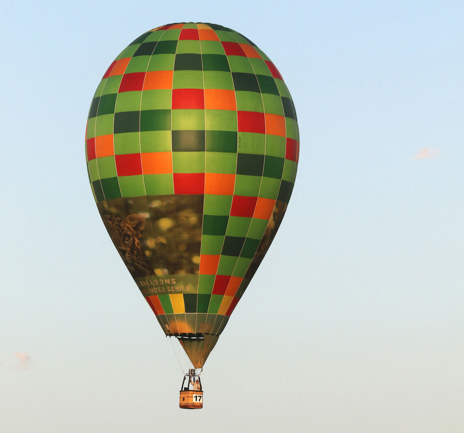 PHOTOS: Who's on top so far? National Hot Air Balloon Results announced